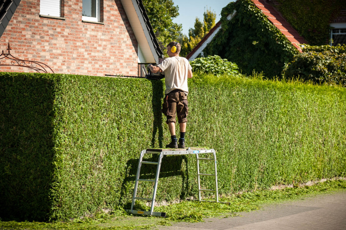 Dieter Gerke Gartenkultur Gartengestaltung - Gartenpflege - Gartentechnik