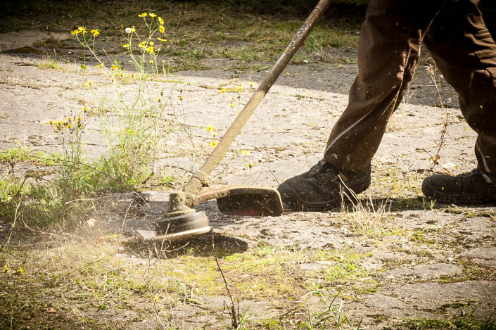 Dieter Gerke Gartenkultur Gartengestaltung - Gartenpflege - Gartentechnik