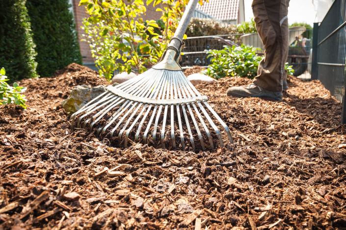 Dieter Gerke Gartenkultur Gartengestaltung - Gartenpflege - Gartentechnik